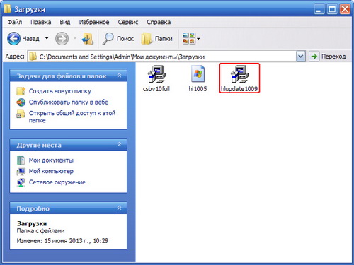  hlupdate1009.exe