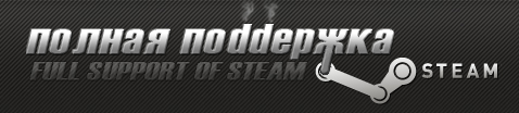 Поддержка программы и платформы Steam